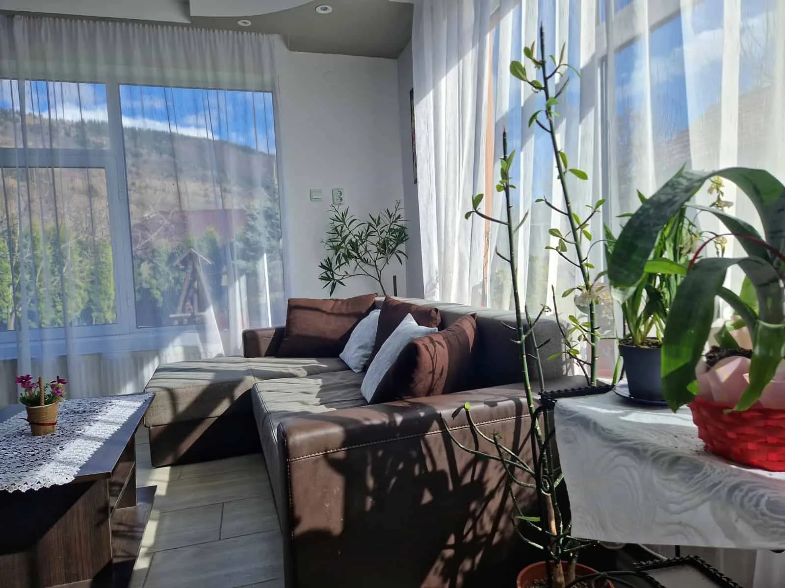 Vila Ancuta-Valea Doftanei-Prahova