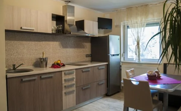 Apartament 2 — Apartament Ema Baile Felix, Băile Felix, Bihor