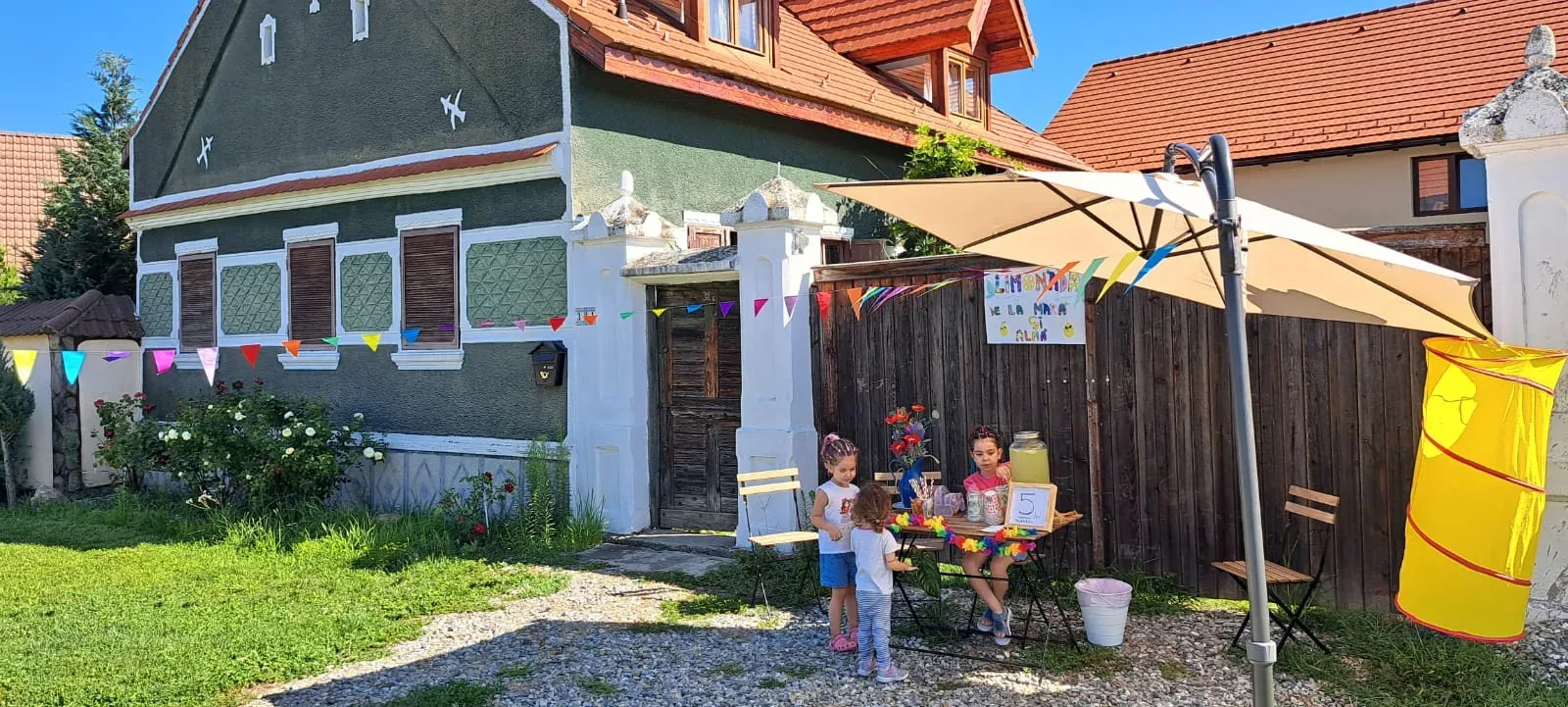 Porumbacu381 - Casa de Oaspeti Faini