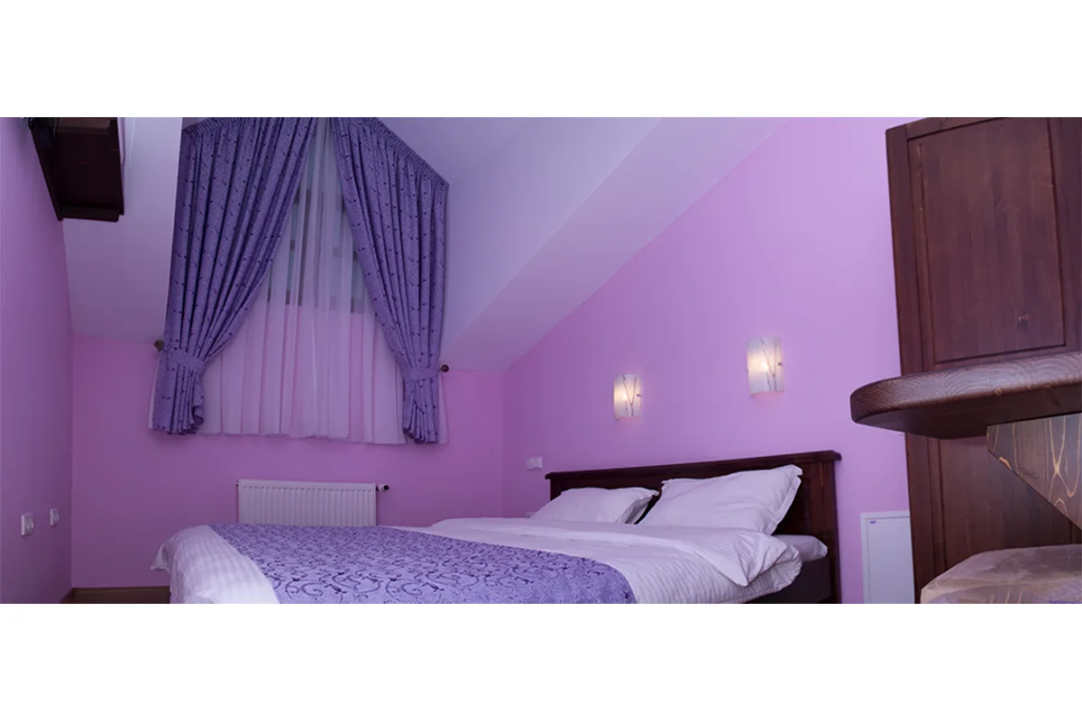Camera 3 — Carmen, Botiz, Satu Mare