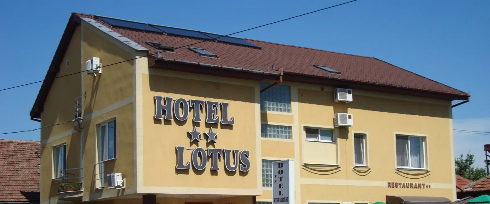 Lotus