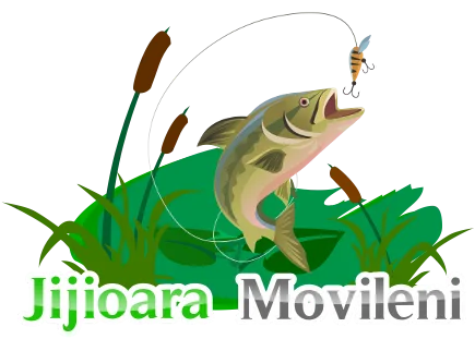 Balta Jijioara Movileni