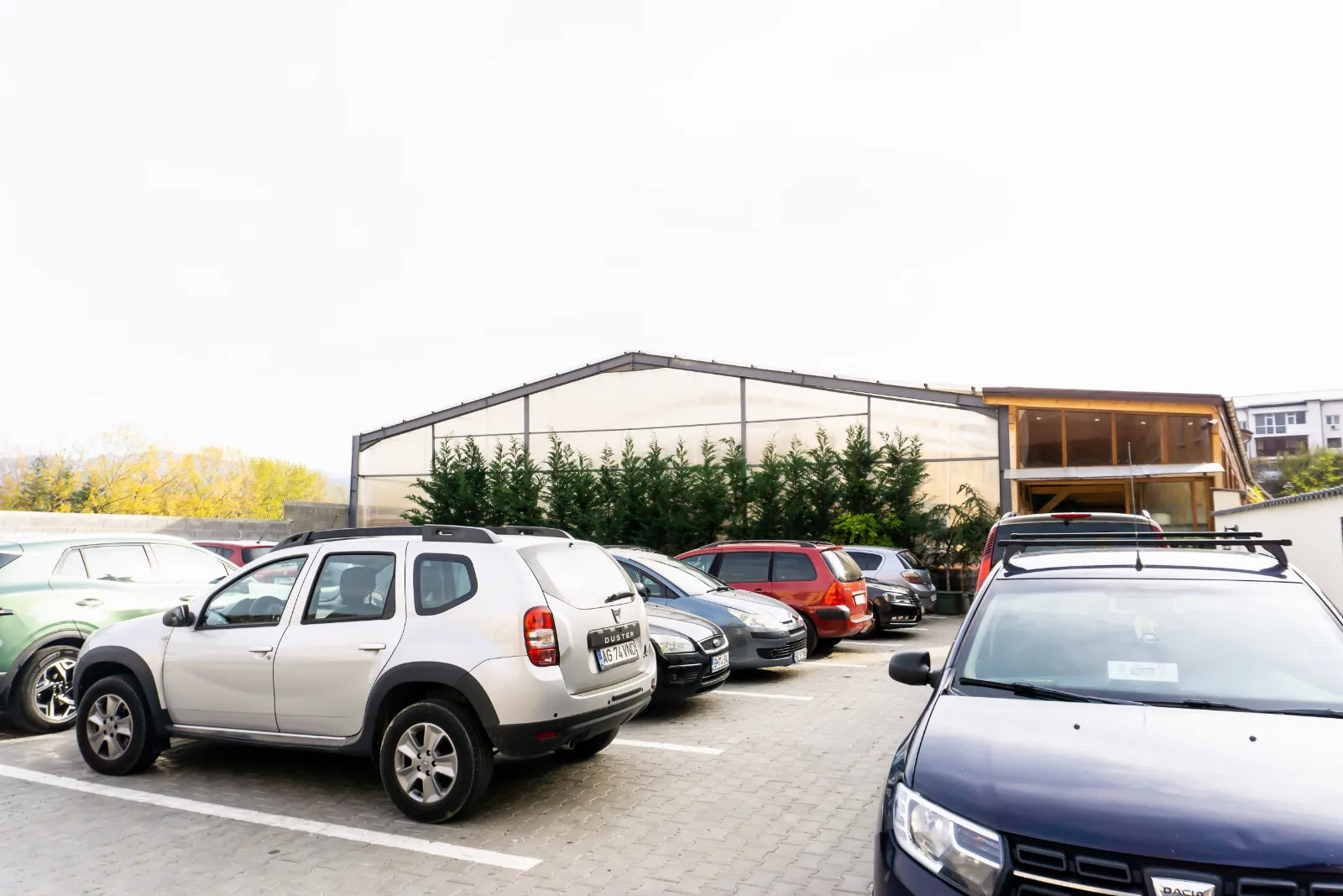 Hotel Ostrov Calimanesti