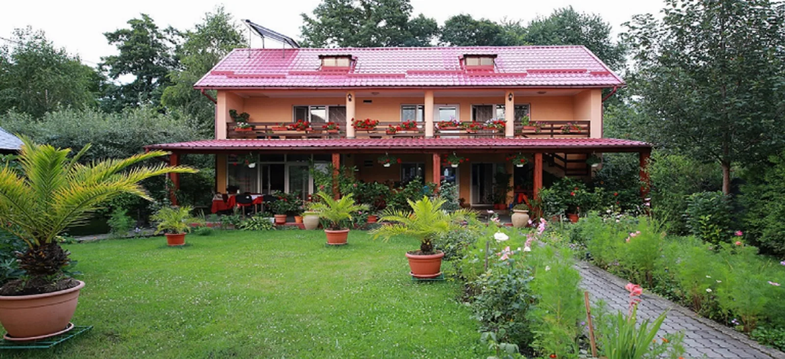 Criveanu