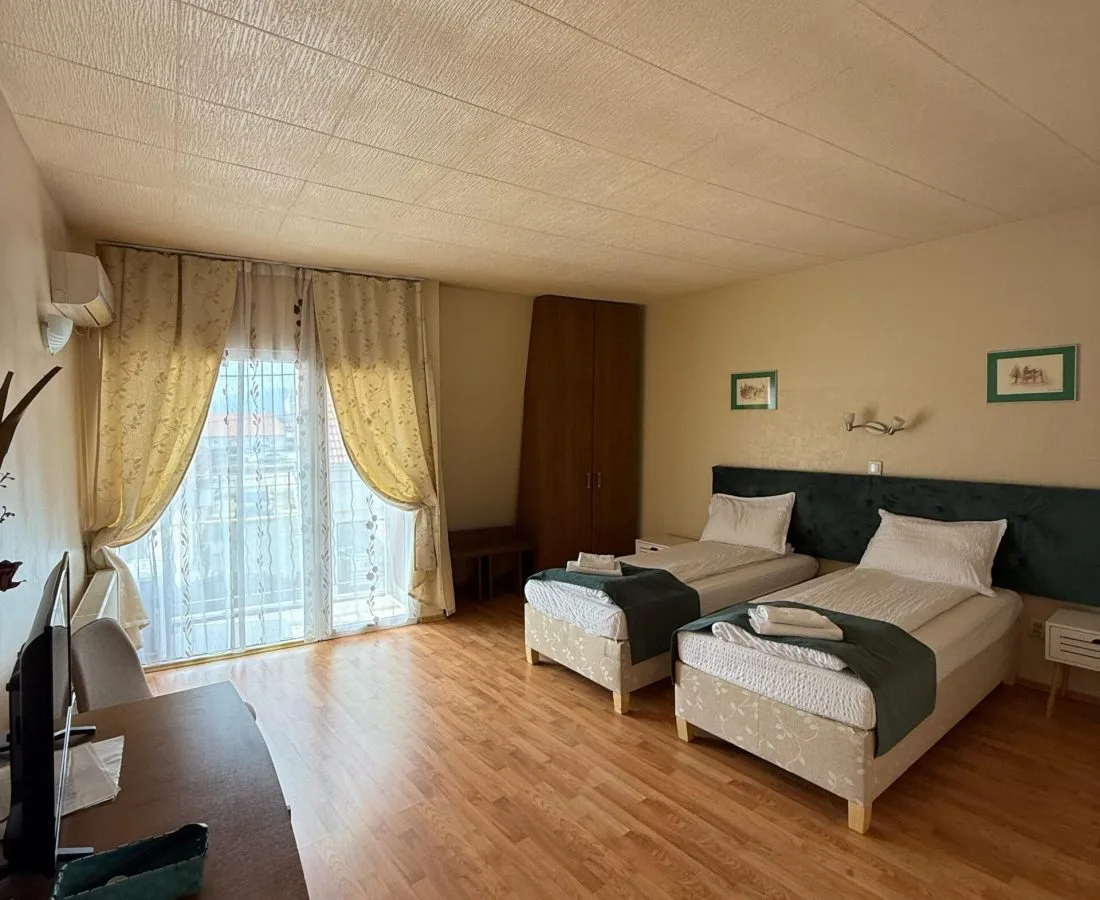 Cameră Single — Vila Veche, Hațeg, Hunedoara