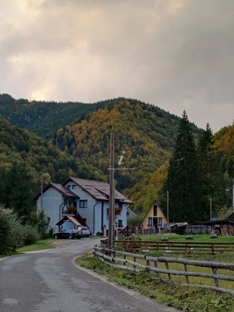 Cabana "Acasă la Delia"