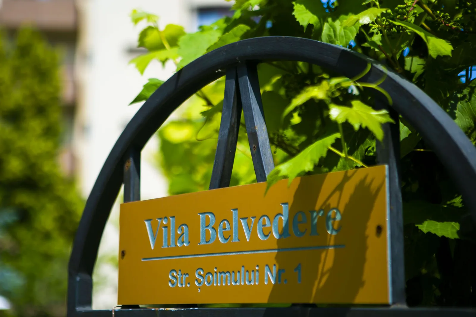 Vila Belvedere