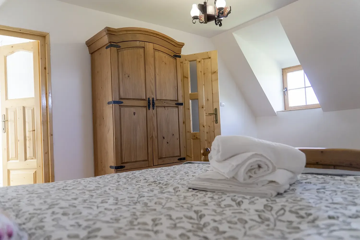 Garofița Pietrei Craiului — Casa Vlădușca, Moieciu de Sus, Brașov