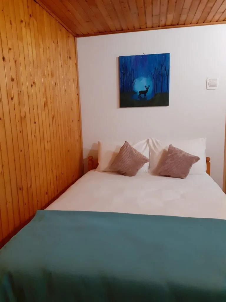 Apartament tip 1 — Floarea Dornei, Saru Dornei, Suceava