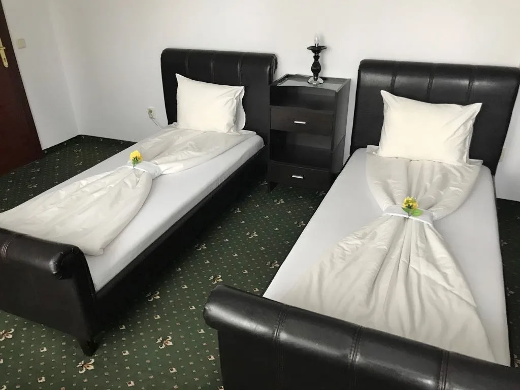 Twin Executive — La Noblesse, București Sectorul 1, București