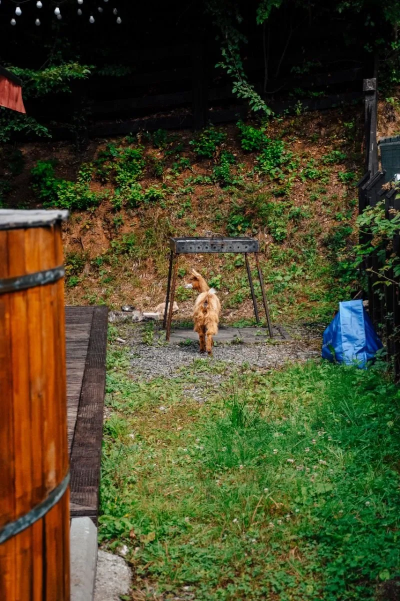 Double room with bathroom — Chalet Chiba, Timișu de Jos, Brașov