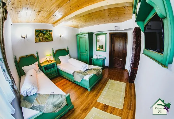 Cabana Dintre Vii