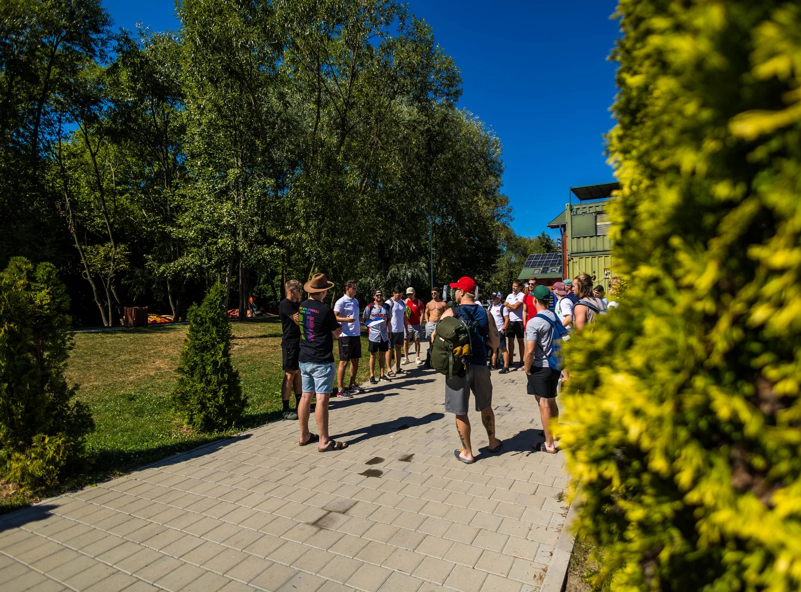 Deșag