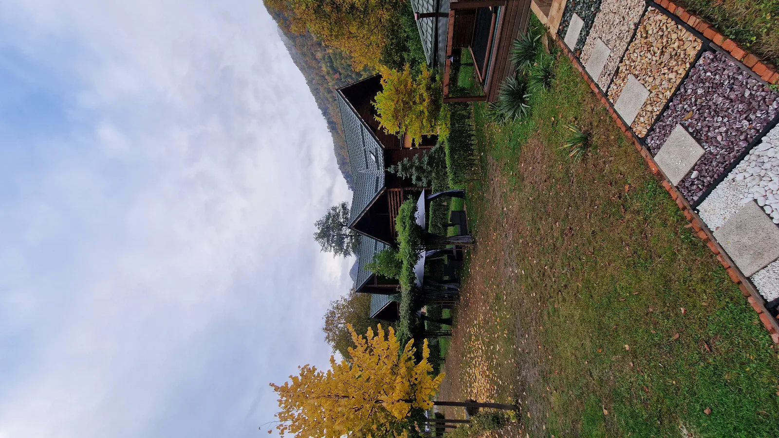 Terra Nova