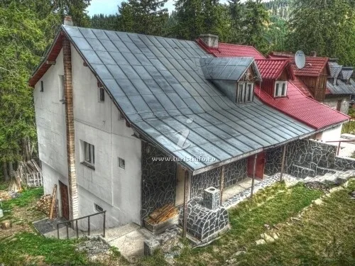 Brândușa