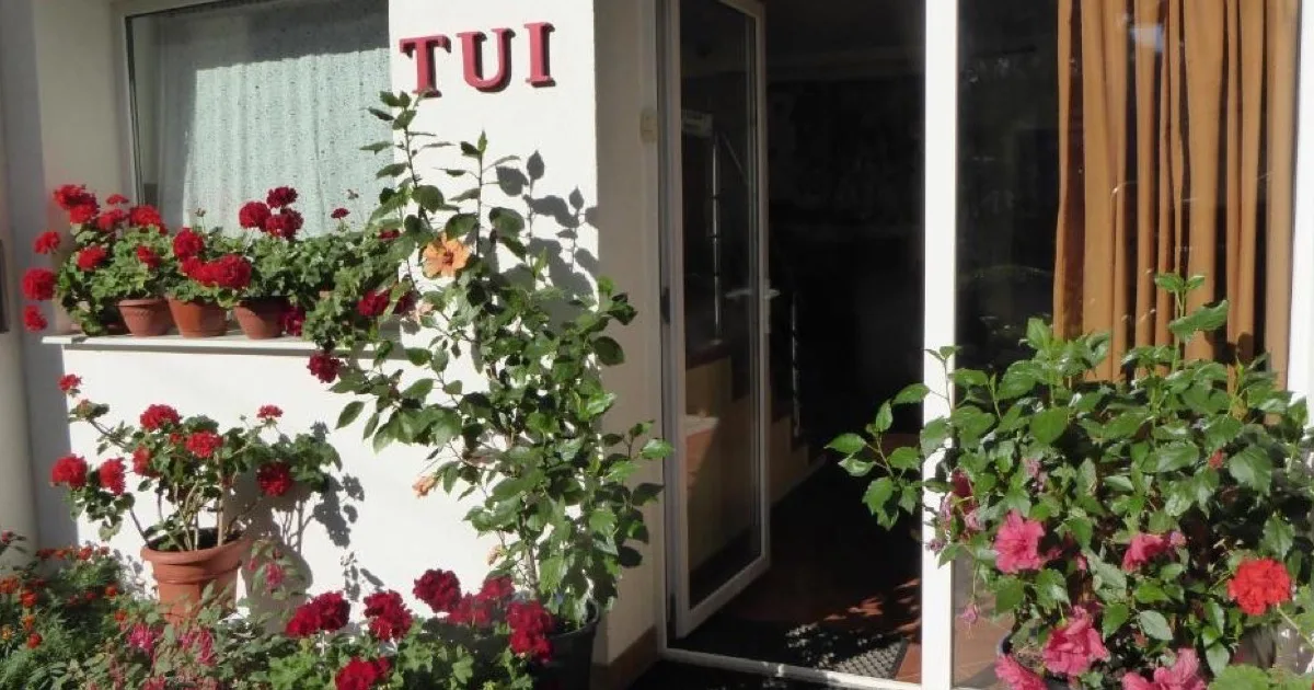 Tui