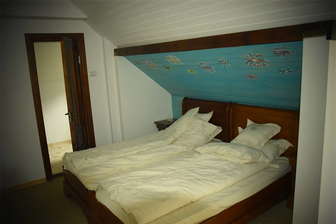 Camera twin — Casa Bucureasa, Mălaia, Vâlcea
