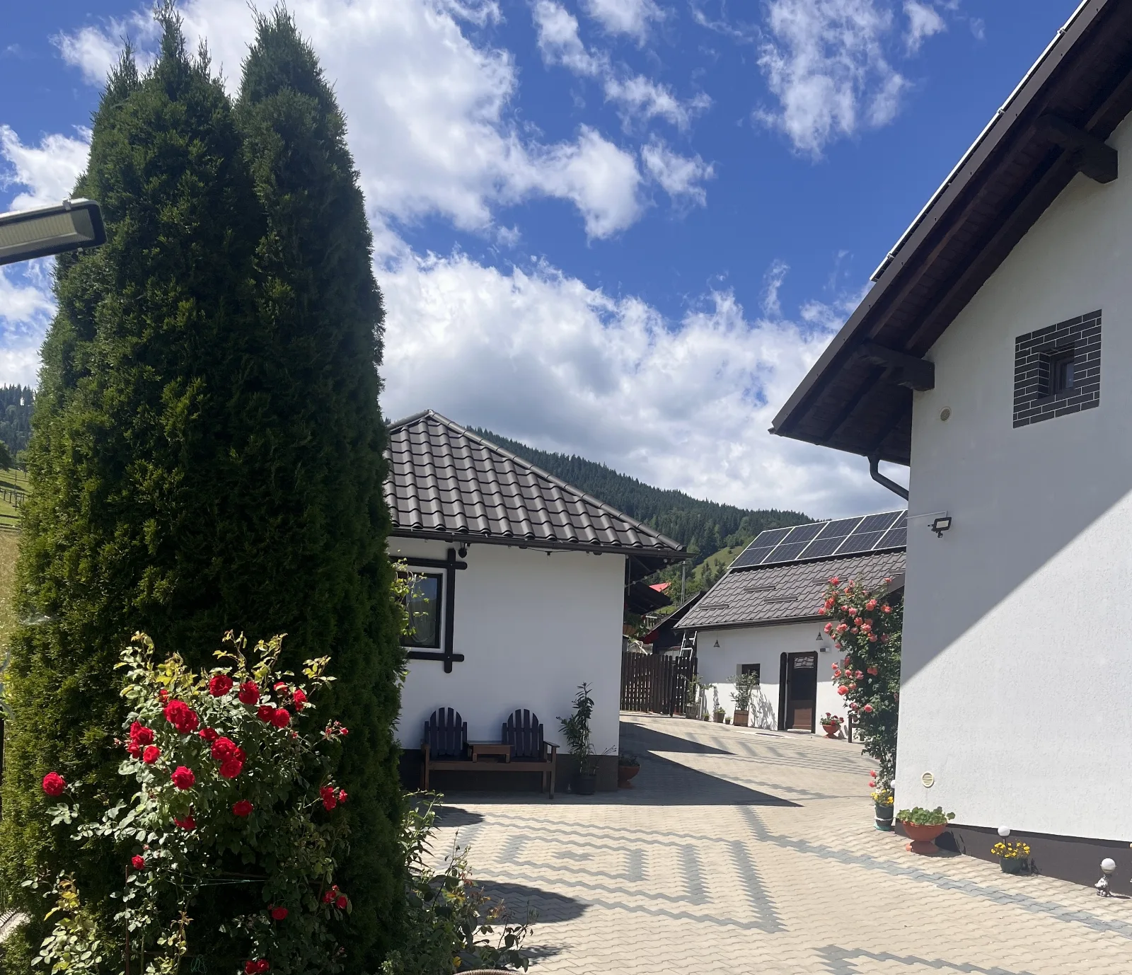 Fotografie 2 — Casa de pe Deal, Sadova, Suceava