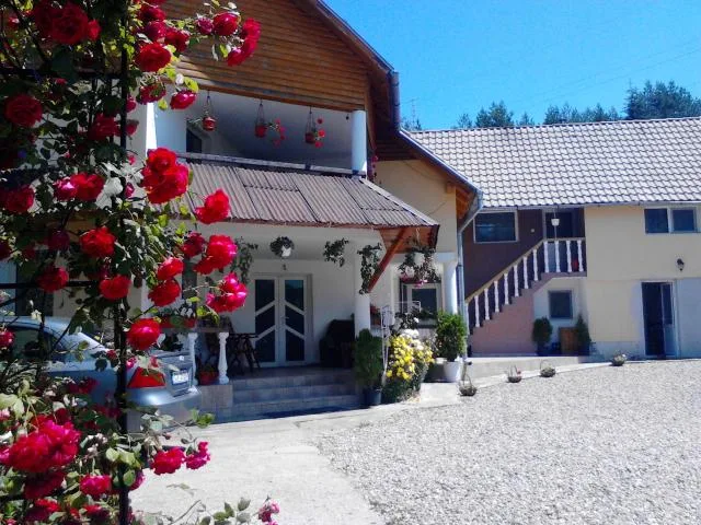 Casa Mircea