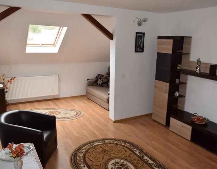 Apartament — Cazare Petrosani - Pensiunea Bujor de Munte, Petroșani, Hunedoara