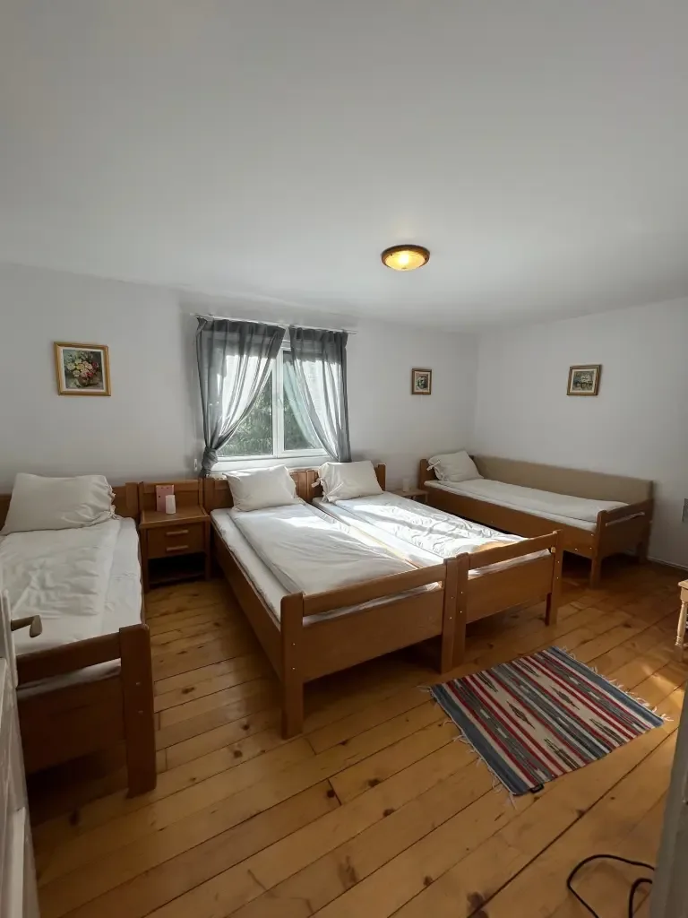Camera „Artistului” — Casa Drumeților, Lerești, Argeș