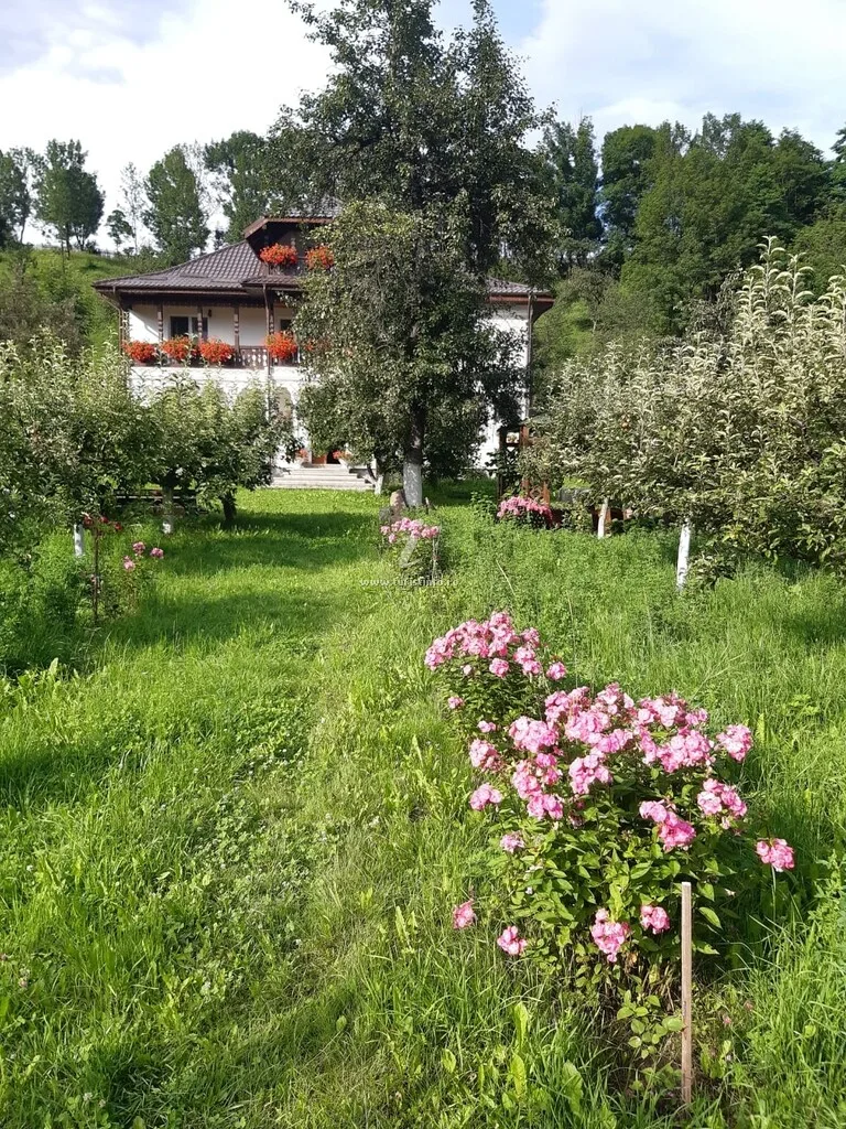 Pensiunea Paleu