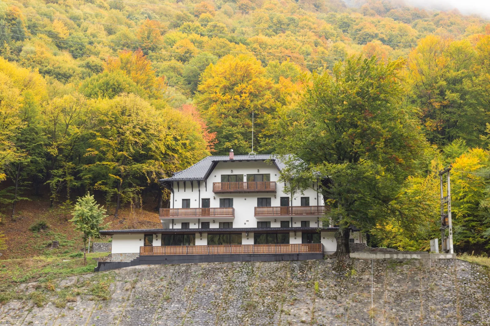 Poiana Mucenicului