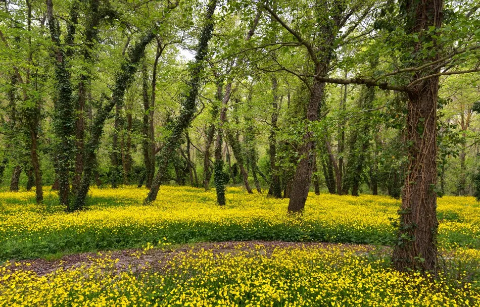 Albena, Bulgaria