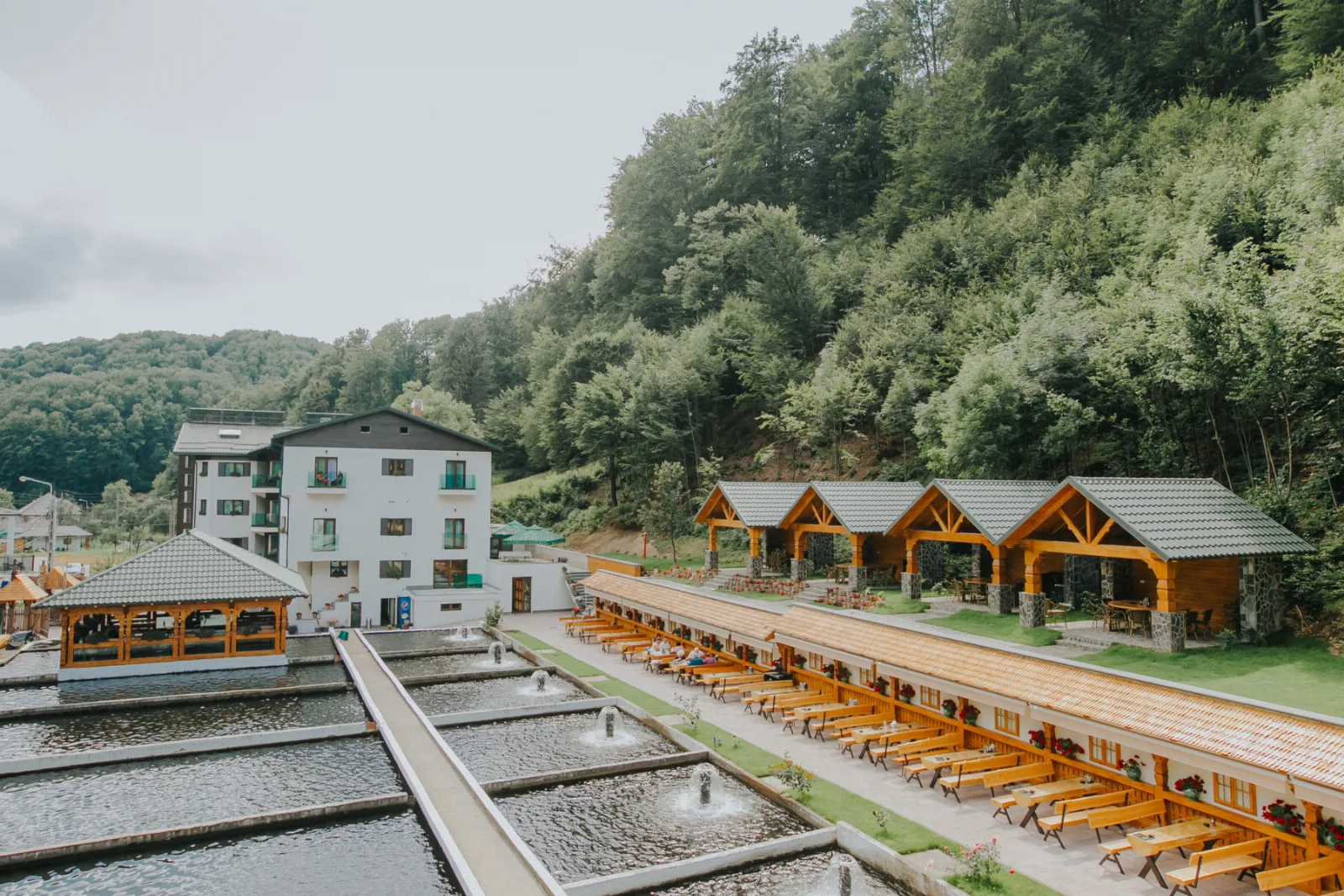 Lostrița