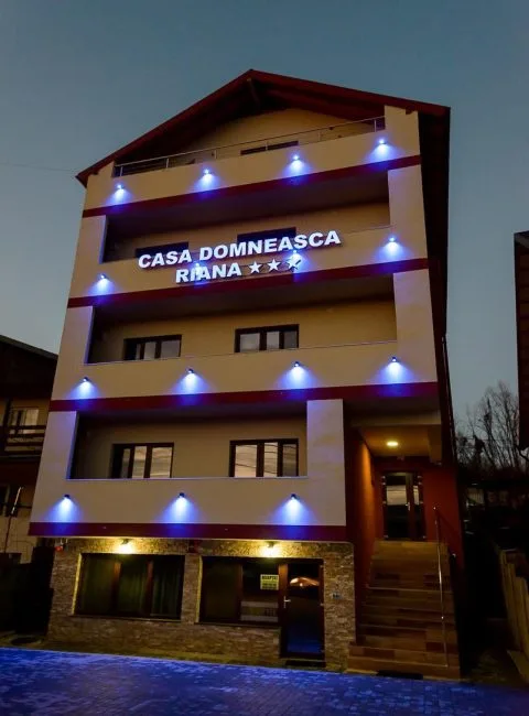 Fotografie 5 — Casa Domnească Riana, Pitești, Argeș
