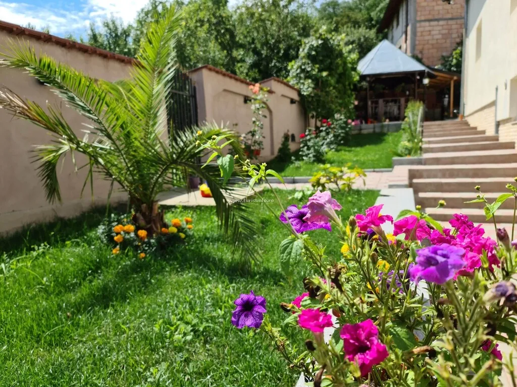 Casa Alca