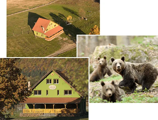 Everwood Lodge