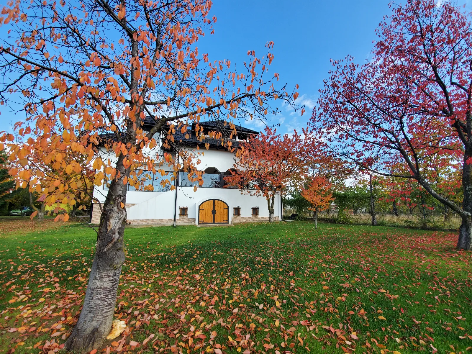 La Cireși
