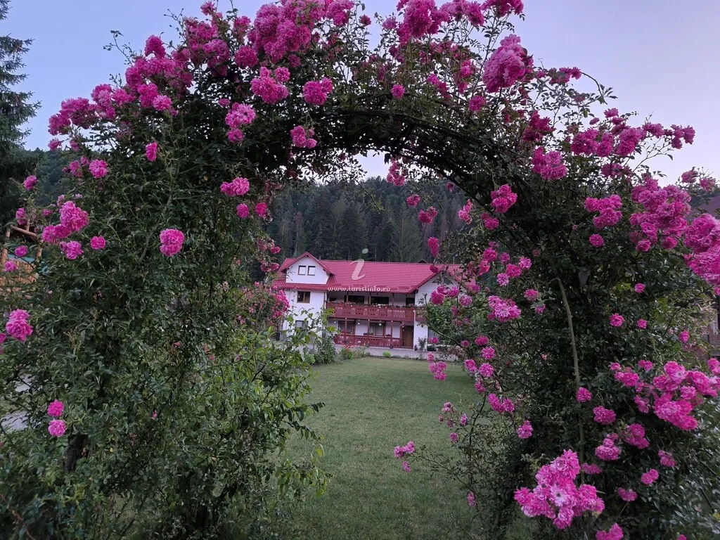 Flori de Voroneț