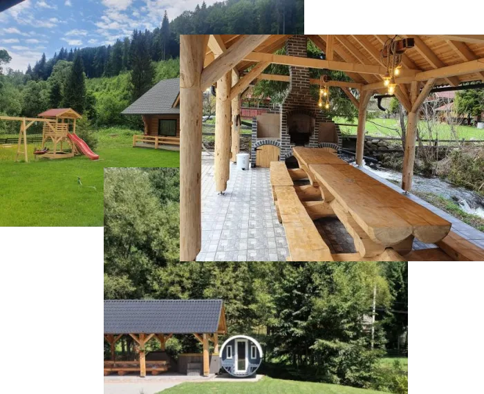 Wild Tree House