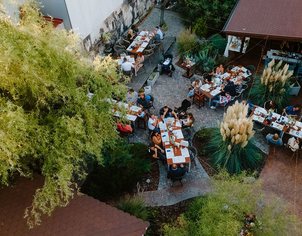 Casa Bunicii — Pensiune pisici "kimi", Dumbrăvița, Timiș