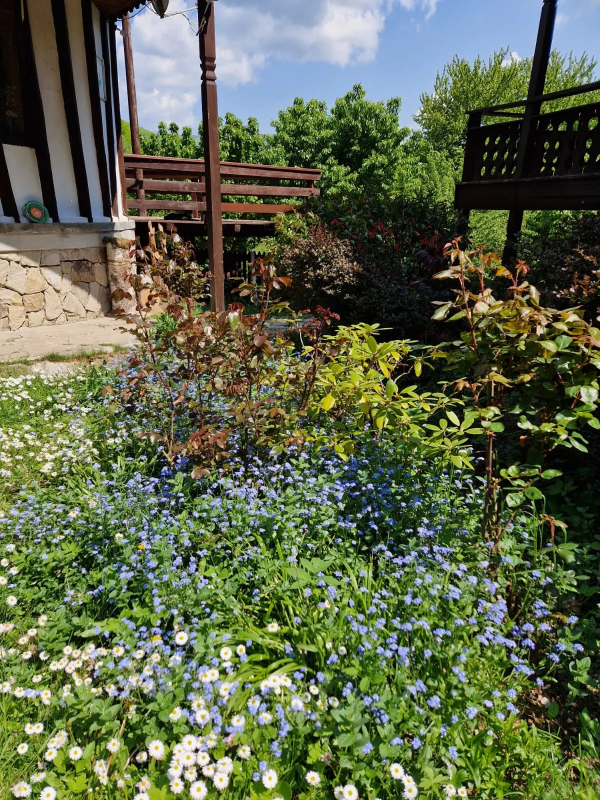 Dublă twin — Casa Tisaru, Lepșa, Vrancea