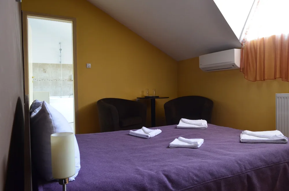 Camera Single — Casa Zanelor, Florești, Cluj