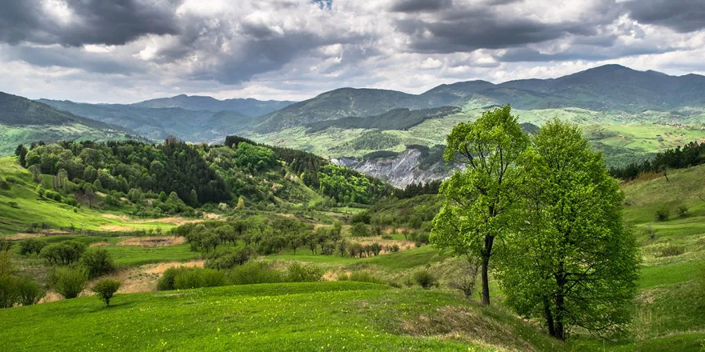 Muzeul Formelor — Runcosu Bozioru, Bozioru, Buzău