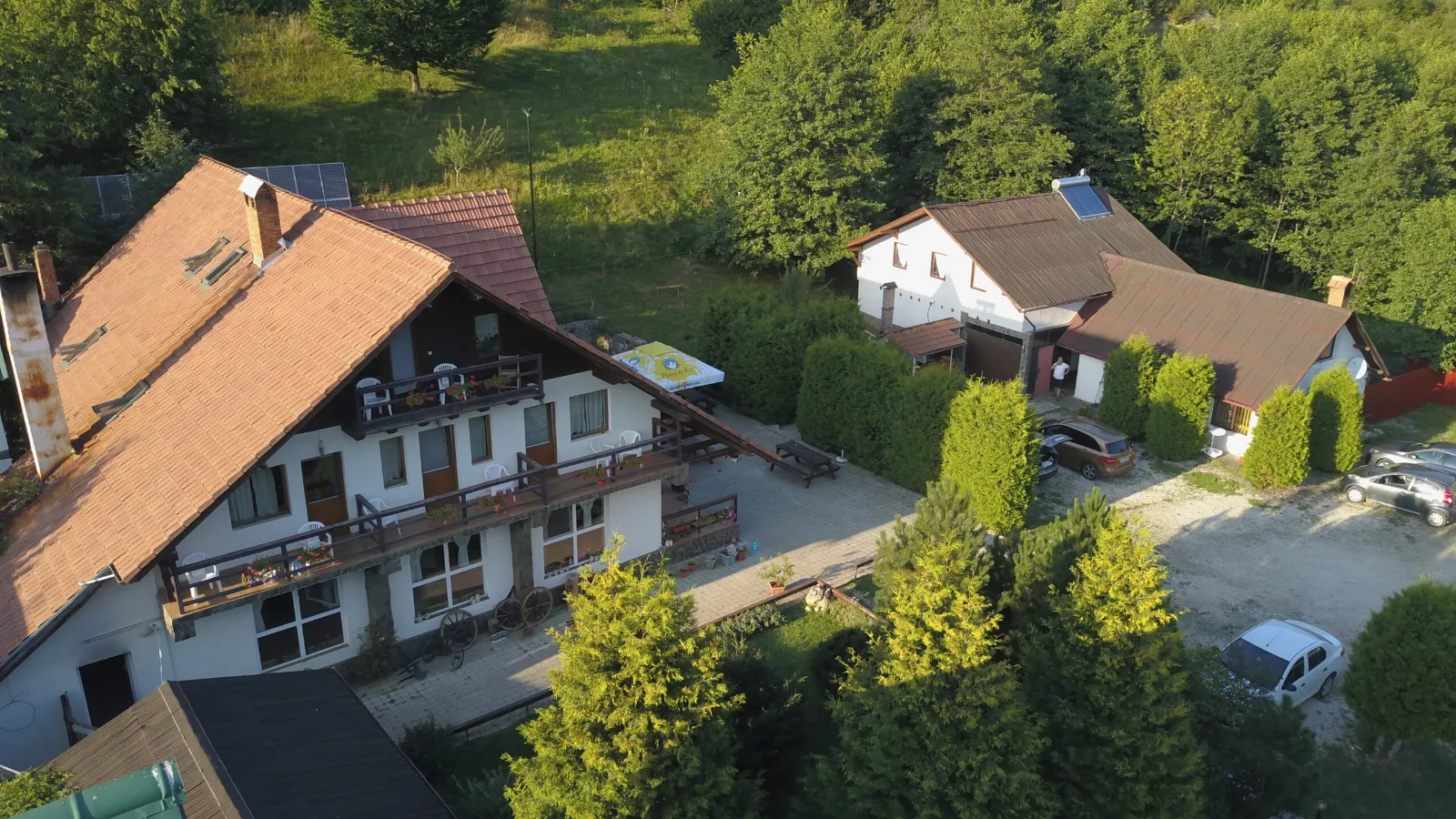 Floare de Colț - Piatra Craiului