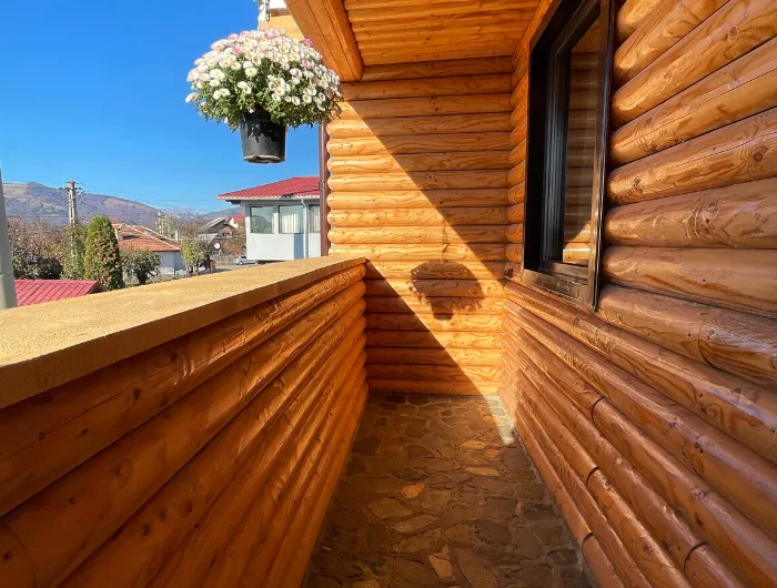Camera cu priveliște către pădure — Clara Maria, Comarnic, Prahova