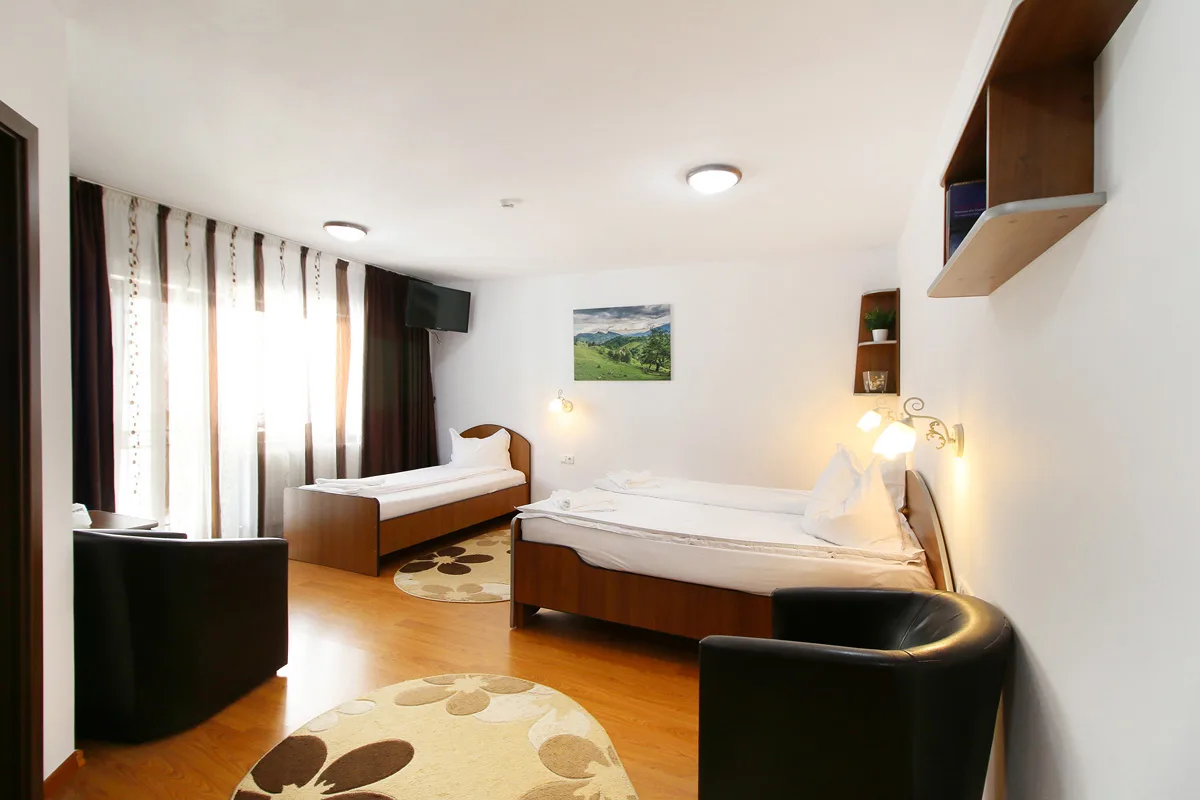 Tripla — Casa Micu, Sibiu, Sibiu