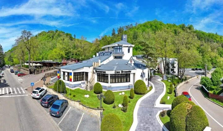 Vila Vlad