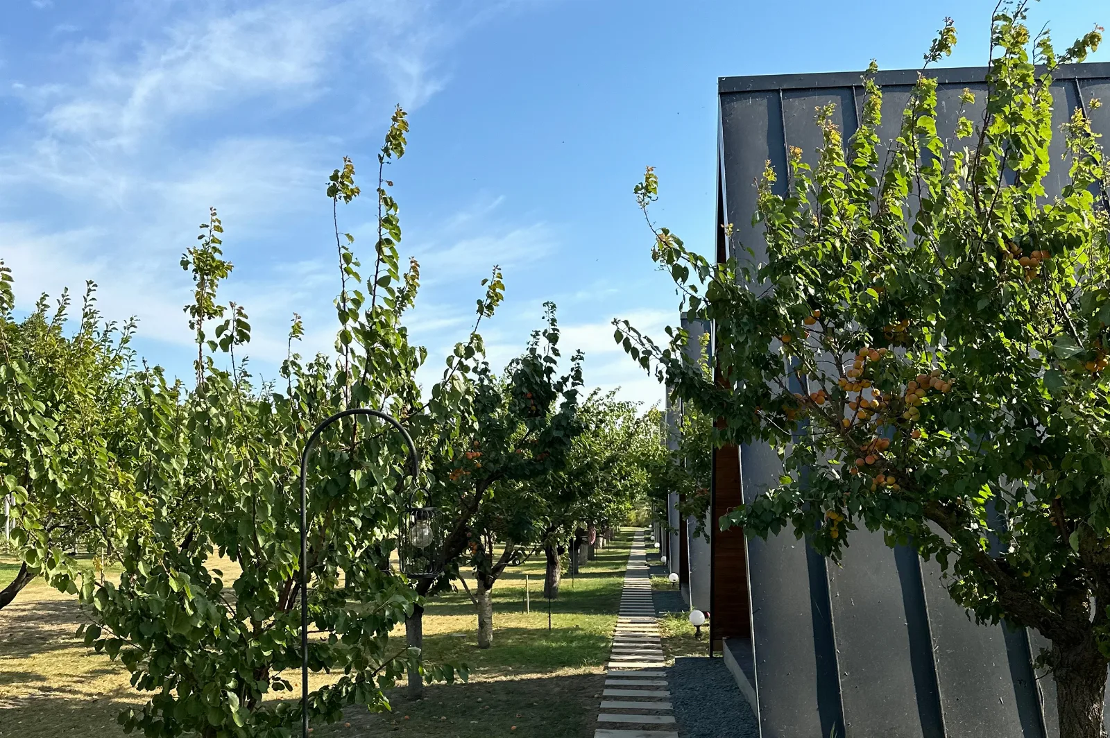 Fotografie 2 — Perryland Urban Farm, Piatra, Constanța
