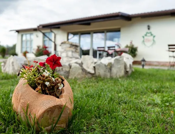 Pensiunea Hermitage by Elenis