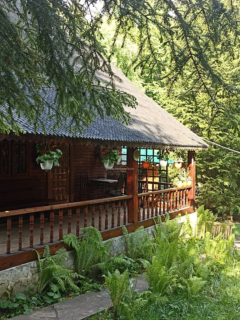 Cabana " PUSA"