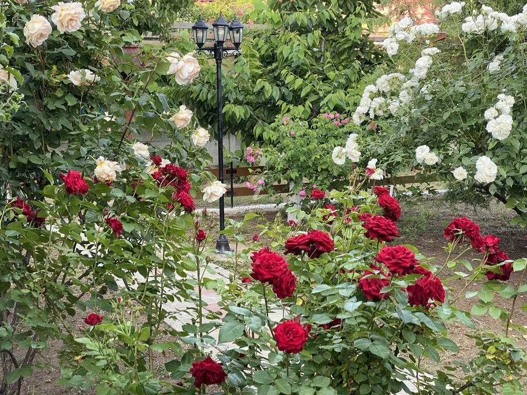 La Căsuțe 2 Mai