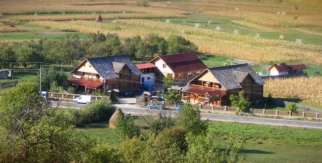 Frații Pașca
