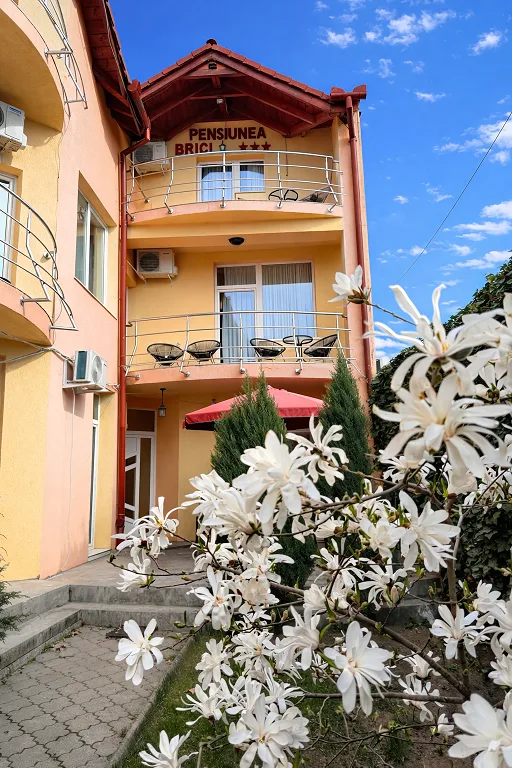Brici
