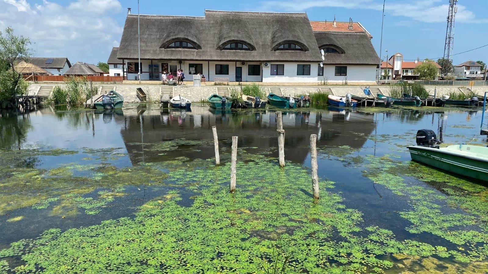 Delta Marina